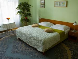 Na Smetance G Apartment
