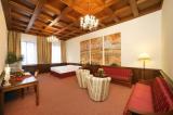 Zlata Hvezda Trebon Hotel