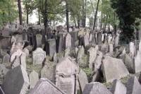 Old Jewish Cemetery 1