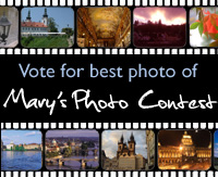 Photo Contest