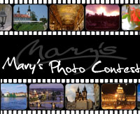 Photo Contest