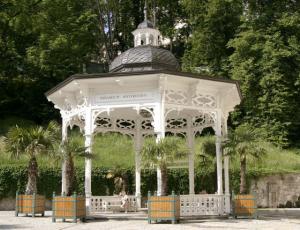 Karlovy Vary spa town overnight