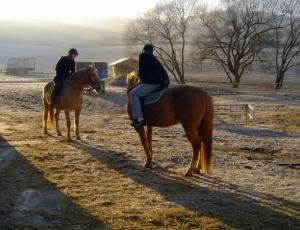 Horseback riding